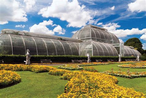  Kew Gardens: A History of Botanical Wonder and Horticultural Excellence - Unveiling Nature's Artistic Tapestry Through Centuries of Cultivated Beauty