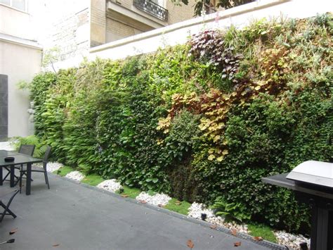  Zones et tapis végétaux: Jardins de pleine terre pour les petites surfaces: Cultivando o verde em espaços compactos!